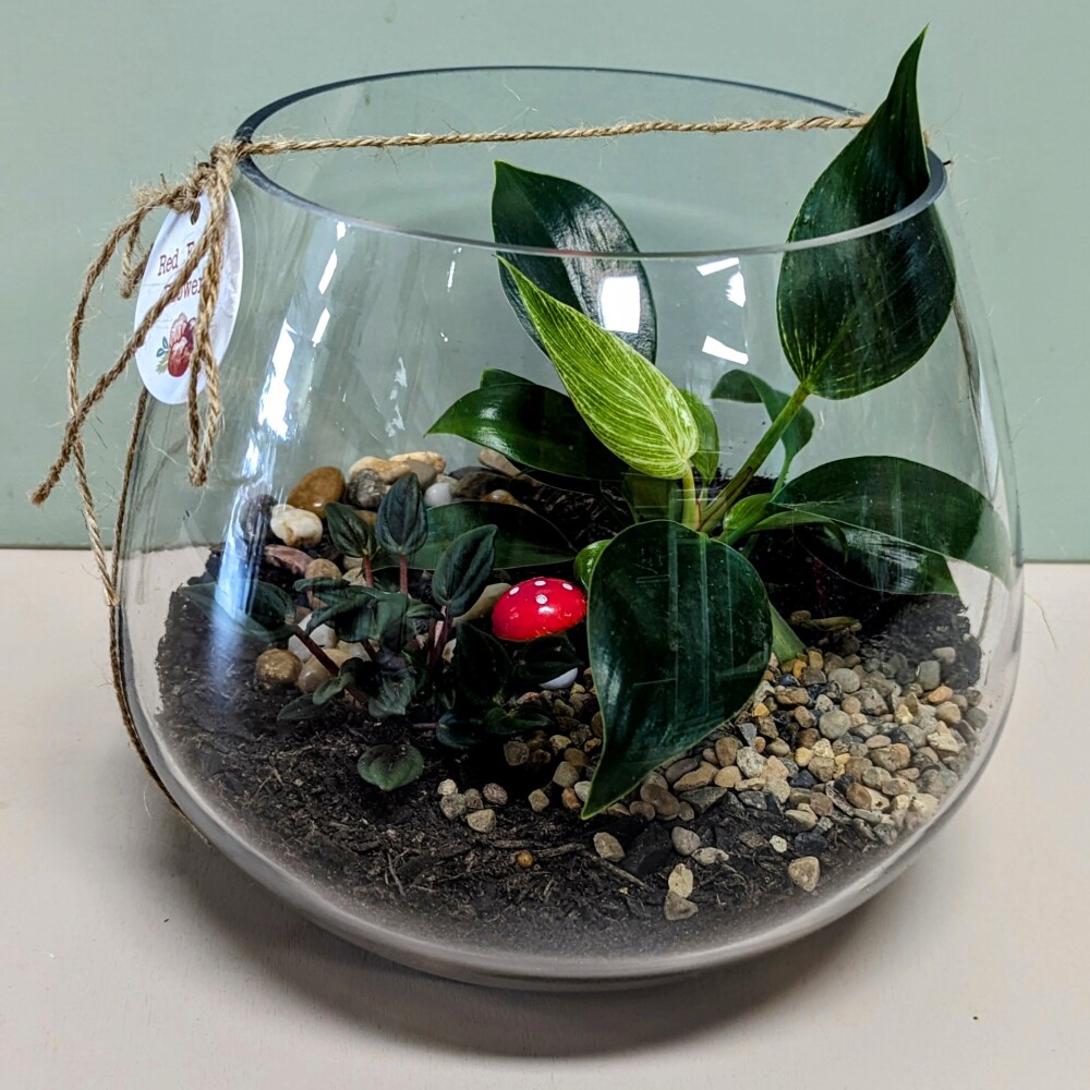 TERRARIUM